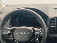 Skoda Karoq - Vorschau Bild 14