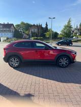 Mazda CX-30 e-SKYACTIV-G M-Hybrid 140 Takumi AT Takumi - Mazda CX-30 Takumi mit Benzin-Antrieb