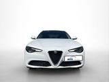 Alfa Romeo Giulia 2.0 Turbo 16V Super - Alfa Romeo Giulia mit Benzin-Antrieb