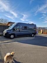Fiat Ducato 8 Selbstausbau mit sehr guter Ausstattung - Offers