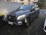 Mercedes-Benz ML 350 BlueTEC 4MATIC - - Mercedes-Benz ML 350 Gebrauchtwagen in Mülheim (Ruhr)