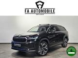 Skoda Kodiaq 4x4 Pano Head Up Matrix 7.Sitz Kameras