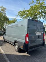 Opel Movano - gebrauchte Opel Movano aus dem Jahr 2024
