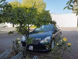 Toyota Crown  GRS200 Royal Saloon RHD! - Toyota aus 2011