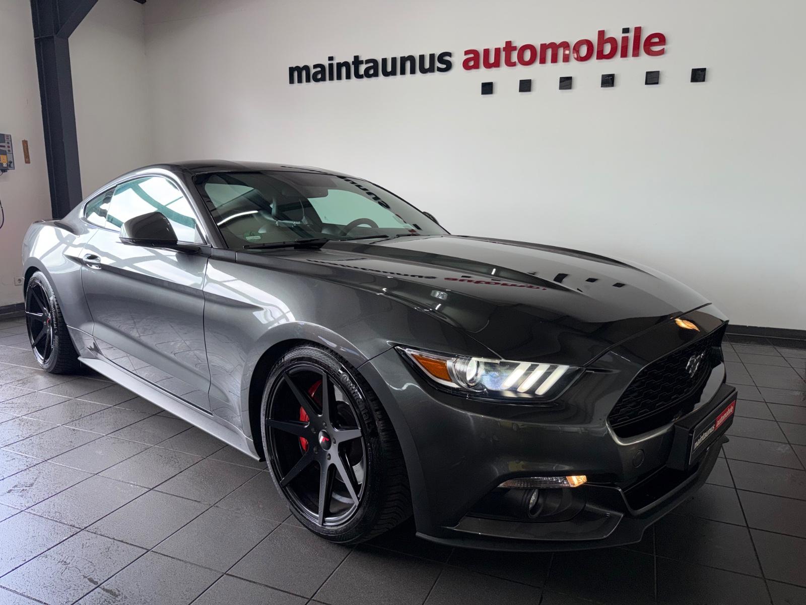 Ford Mustang Basis Fastback *XENON | KAMERA | LEDER*