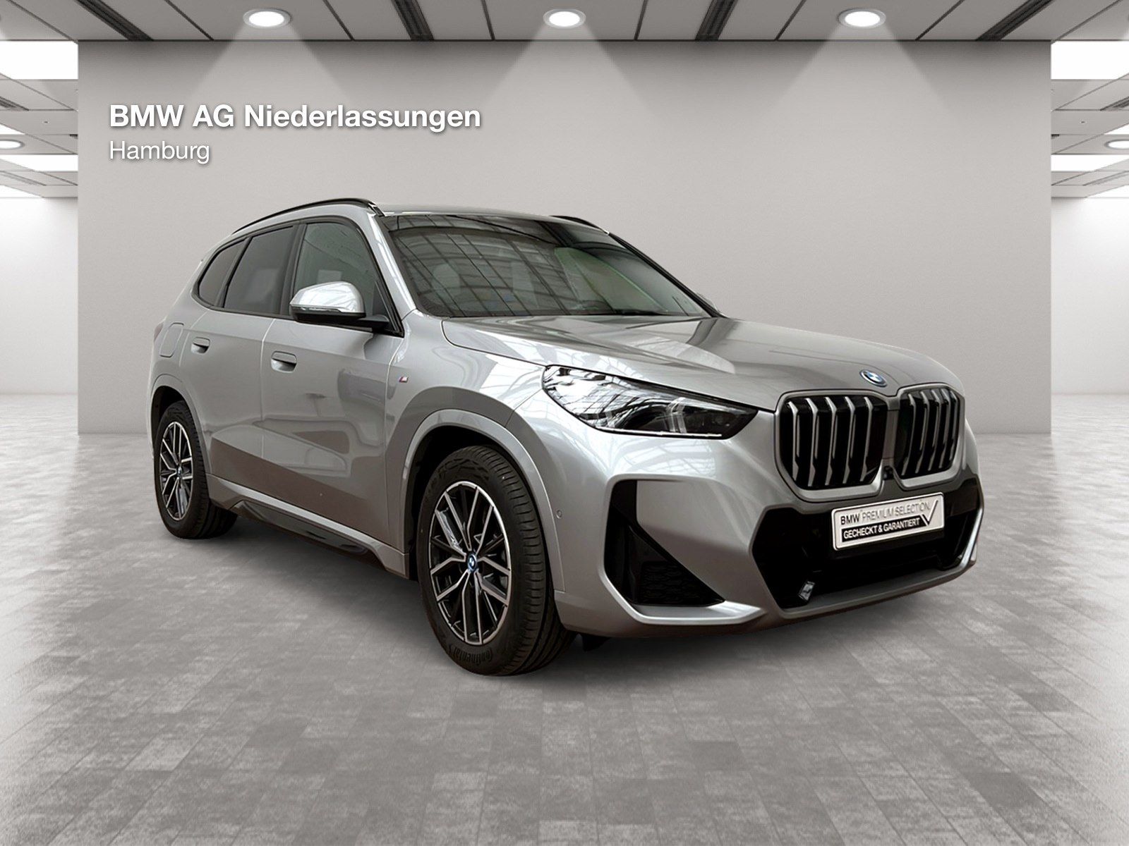 BMW X1 xDrive30e M Sport Leder AHK Driv.Assist.Prof  foto 7