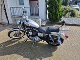 Harley-Davidson 1200 custom xl 100th anniversary - Offers matching your search criteria