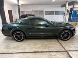 Ford Mustang 4.6 Liter V8 Bullit  1Hand Unfallfrei - Ford Mustang: V6