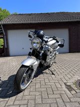 Suzuki SV 650 - Offers matching your search criteria