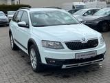 Skoda Octavia Scout 1.8 TSI DSG 4x4 NAV*SHZ*AHK - Skoda Octavia Scout mit Benzin-Antrieb