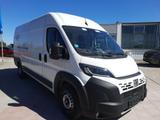 Fiat Ducato Kastenwagen 35 180 M L4H2 LED Kamera - Fiat Ducato: Kastenwagen