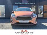 Ford Fiesta 1.0 EcoBoost Titanium SHZ PDC KLIMA - Ford Fiesta: Braun