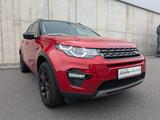 Land Rover Discovery Sport SE AWD 2,0Td4 AHK Pano Automatik - Land Rover Discovery: Td4