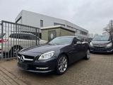 Mercedes-Benz SLK 250 SLK Roadster SLK 250 CDI XENON CABRIO - Mercedes-Benz SLK 250: Cabrio