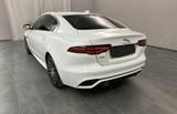 Jaguar XE P250 R-Dynamic SE*Panorama*Winter-Paket* - weiße Jaguar XE