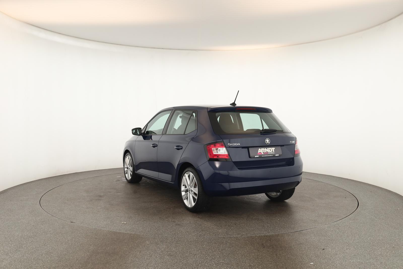 Skoda Fabia 1.0 TSI DSG Style Klima DAB SHZ ACC PDC 17