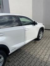 Lexus NX 300 300h Executive Line Executive Line - Lexus NX Series: Privatanbieter