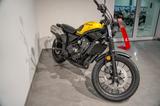 Honda CL 500 Scrambler *Neufahrzeug*Tageszulassung* - HONDA CL 500