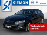 Skoda Octavia Combi 2.0 TDI DSG Clever ACC LED RKam Ca - Skoda Gebrauchtwagen in Münster
