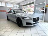 Jaguar JAGUAR XF 3.0 D V6 300 CV aut. Prestige - Jaguar: X300