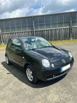 Volkswagen VW Lupo 6X College 1.0 mpi schwarz Volkswagen - Volkswagen Lupo: 6x
