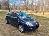 Fiat Punto 1.4 8V Start&Stopp LOUNGE LOUNGE - Fiat Punto mit CNG-Antrieb: Kleinwagen