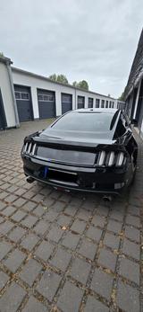 Ford Mustang 5.0 Ti-VCT V8 GT GT - Ford Mustang in Hagen
