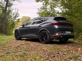 Cupra Formentor VZ4 310PS Mattgrau Panorama AHK Beats