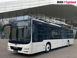 MAN LION'S CITY / A21 Intarder Klima Luftfeder ZV - MAN Reisebus Lion