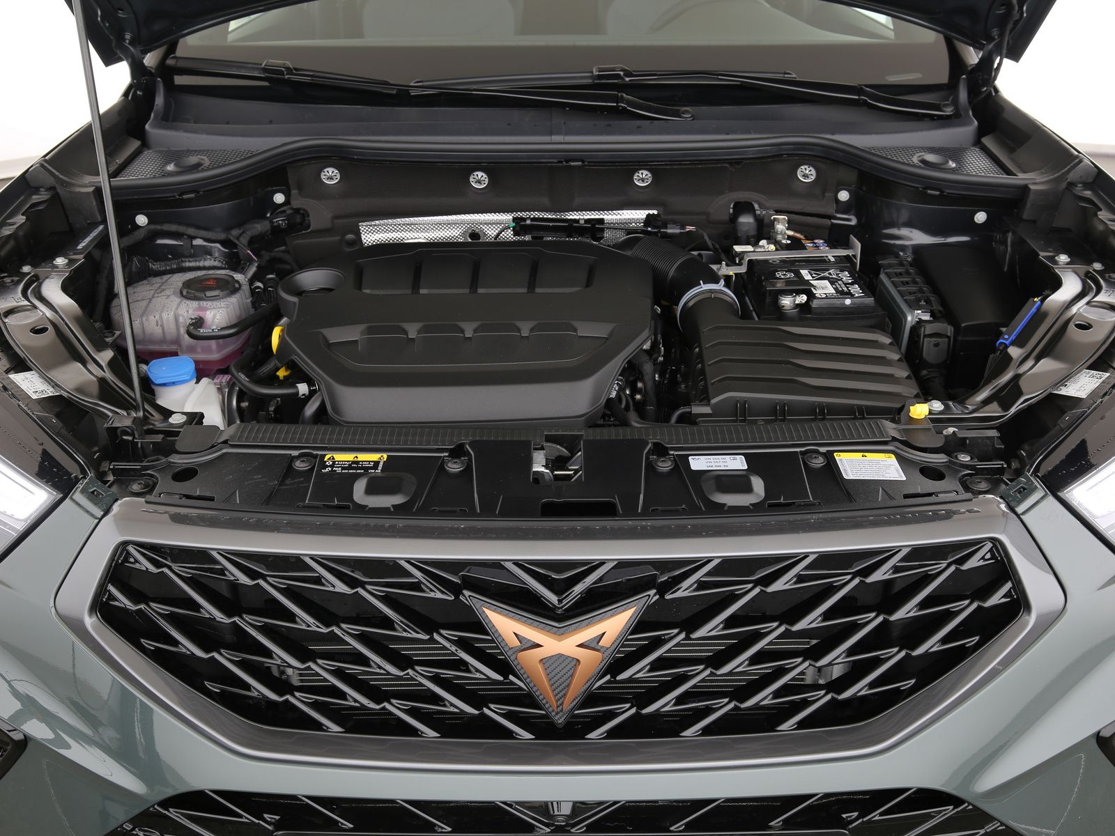 Cupra Ateca - Bild 24