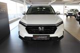 Honda CR-V Hybrid 2WD Elegance - Honda CR-V in Hamm
