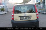 Fiat Panda 1.1 8V Active - Fiat Panda aus 2008