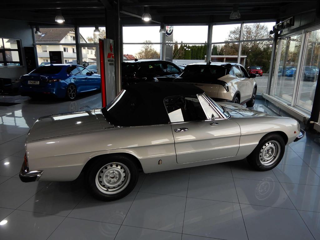 Alfa Romeo Spider