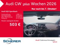 Audi SQ5 - Vorschau Bild 4