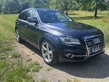Audi SQ5 3.0 TDI competition tiptronic quattro - - Audi SQ5 von privat