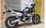 Triumph Scrambler Steve McQueen - Offers