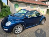 Volkswagen VW Beetle 2.0 Cabrio - Volkswagen Beetle aus 2003