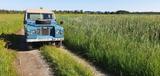 Land Rover Serie II - Land Rover Serie II mit Benzin-Antrieb