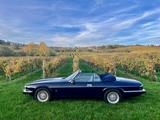 Jaguar XJS V12 Cabrio dt Fzg Top letztes Chrommodell - Jaguar: V12