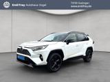 Toyota RAV 4 2.5 4x4 Hybrid Style Selection - Toyota RAV 4 Gebrauchtwagen in Stuttgart