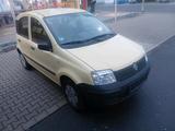 Fiat FIAT PANDA - Fiat Panda Gebrauchtwagen in Frankfurt
