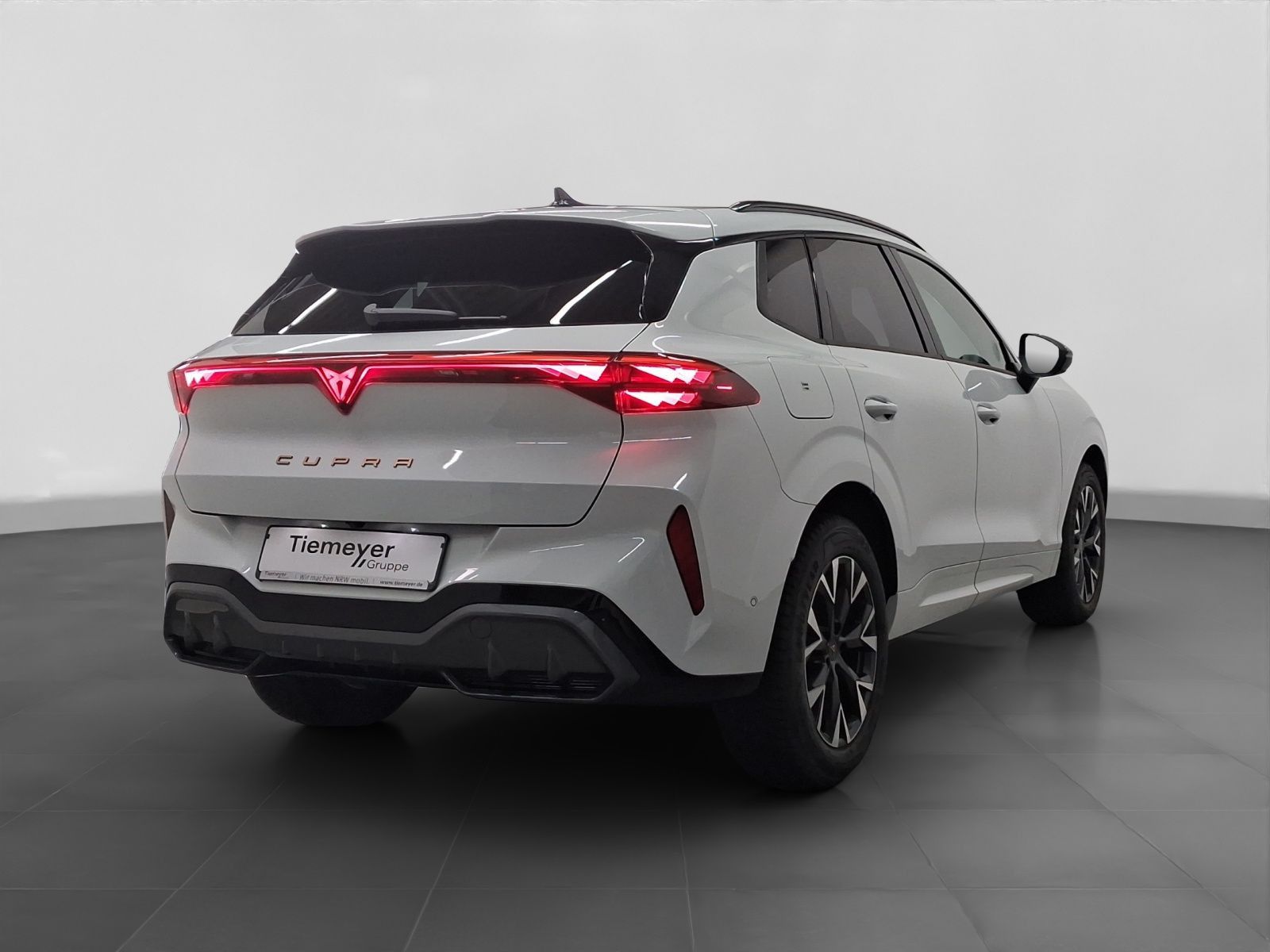 Cupra Terramar - Bild 3