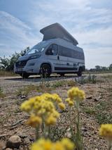HYMER / ERIBA / HYMERCAR FREE Aufstelldach Solar Fahrradträger