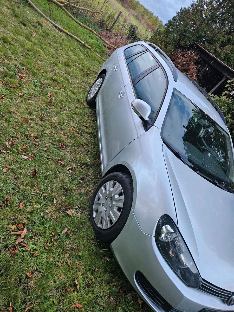 Volkswagen Golf 2010 — вигляд ззаду