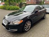 Jaguar XF 2.7 L V6 Diesel Premium Luxury - Jaguar XF aus 2009: Luxury