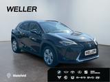 Lexus UX 250h Style Edition *Bi-LED*ACC*CAM*SHZ*CarPla - Lexus: Allradantrieb