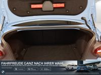 BMW M2 - Vorschau Bild 13