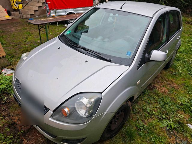 Ford fiesta Winterauto