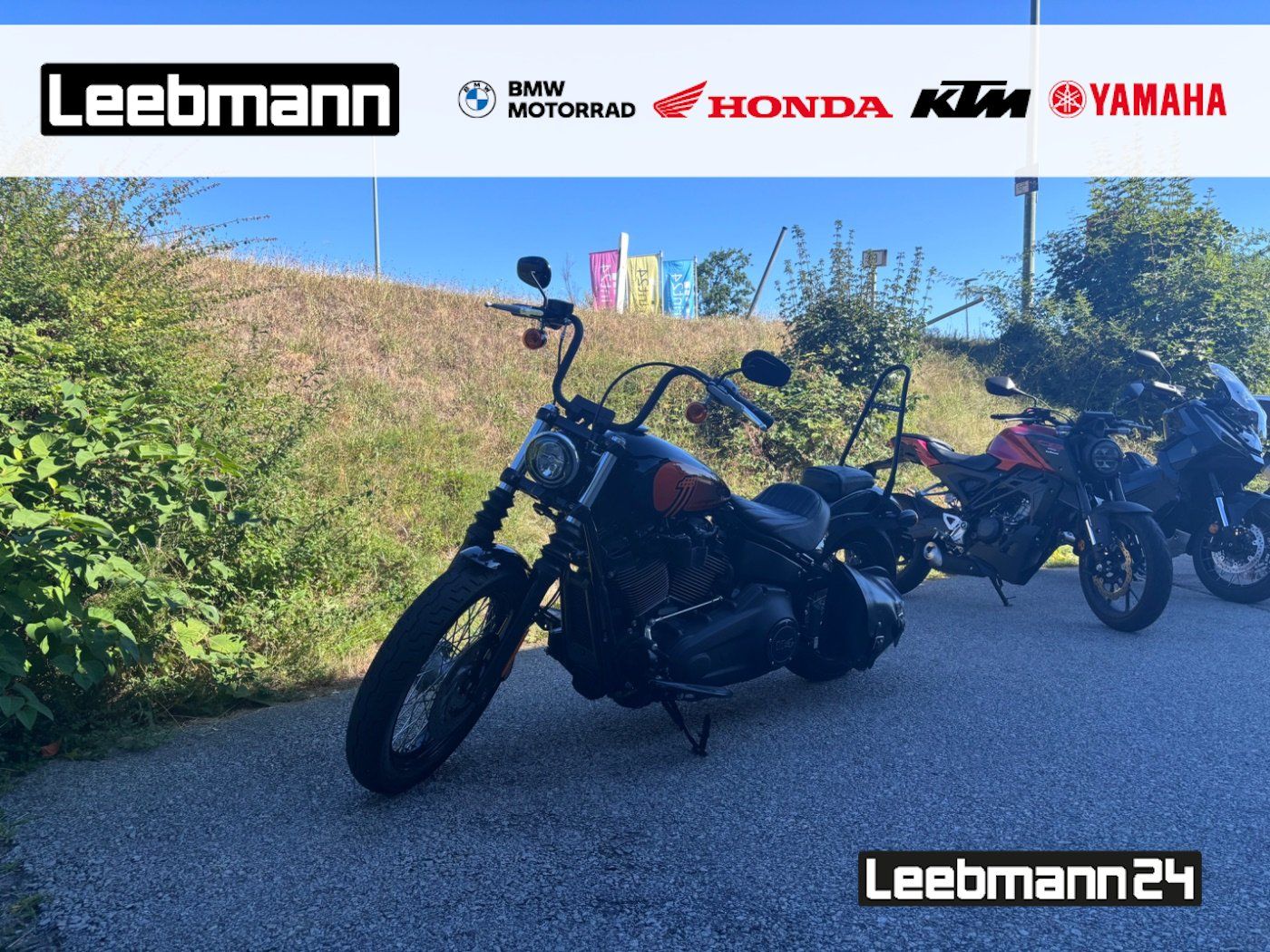 Fahrzeugabbildung Harley-Davidson Street Bob 114