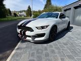Ford Shelby GT 350 Fastback